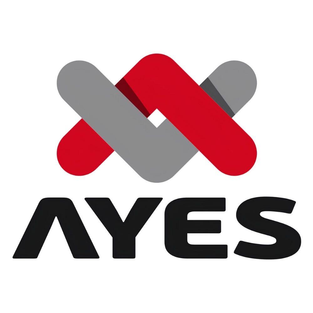 Ayes